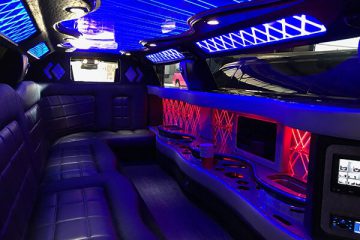 Deluxe limousine interior